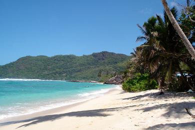 Sandee - Anse Bougainville