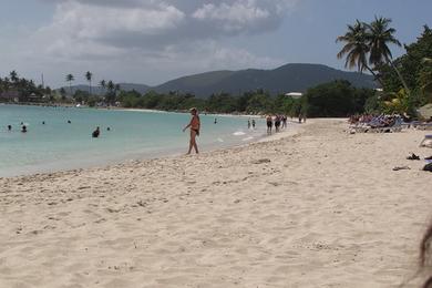 Sandee Lindbergh Beach