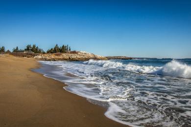Sandee Reid State Park Beach