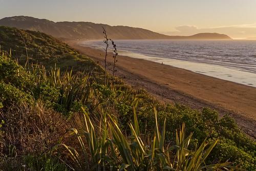 Sandee Flaxen Beach