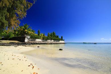 Sandee Anse La Raie Beach Photo