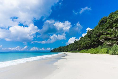 Havelock Island Photo - Sandee