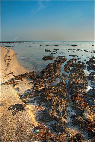 Sandee - Umm Bab Beach