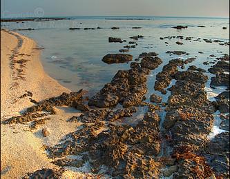 Sandee - Umm Bab Beach