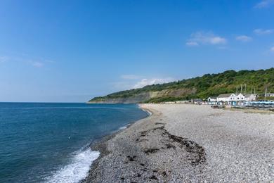 Sandee Lyme Regis Beach Photo