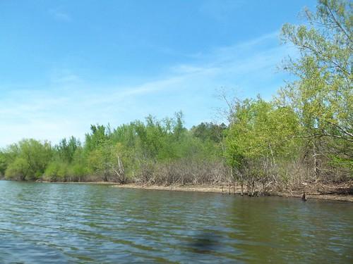 Sandee Lake Greeson Photo