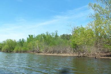 Sandee Lake Greeson