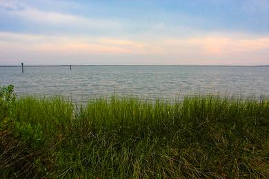 Sandee Davis Bayous Area Gulf Islands National Seashore Photo