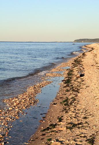 Sandee - Runnel Bay