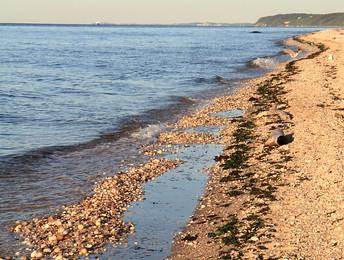 Sandee Runnel Bay Photo