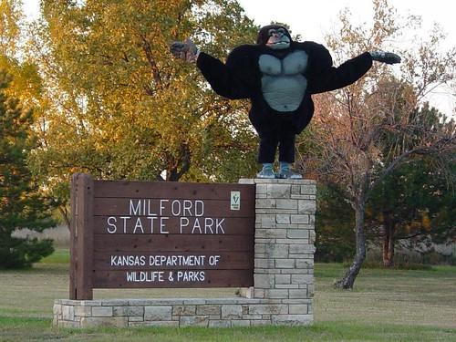 Sandee - Milford State Park