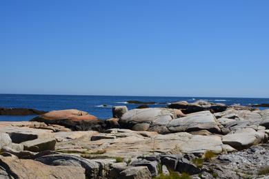 Sandee - Biddeford Pool Beach