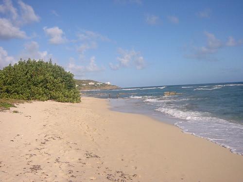Sandee Grapetree Beach