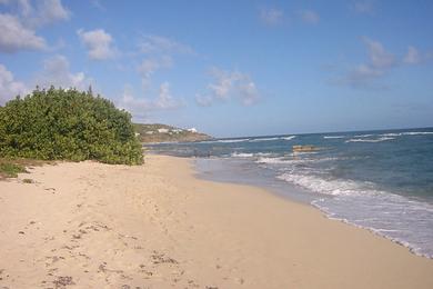 Sandee Grapetree Beach Photo