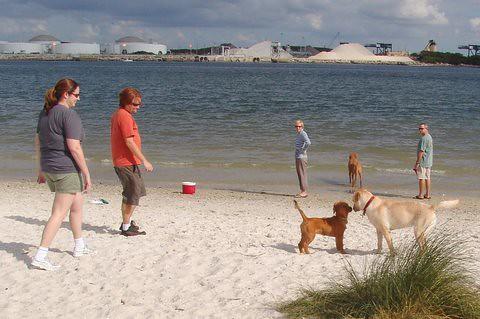 Sandee - Davis Island Dog Beach