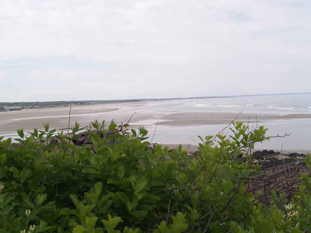 Sandee - Colony Beach / Arundel Beach