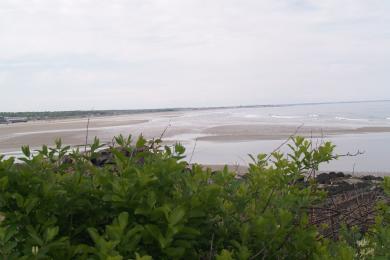 Sandee - Colony Beach / Arundel Beach