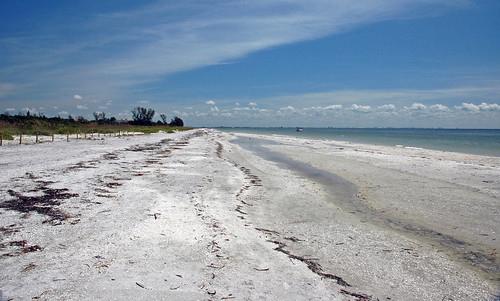 Sandee - Gulfside City Park Beach