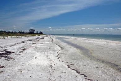 Sandee - Gulfside City Park Beach