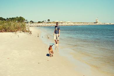 Sandee - Ponce Inlet Dog Beach