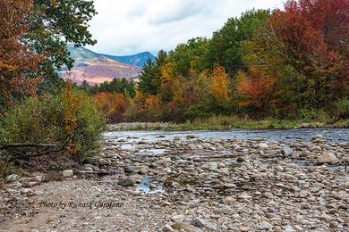 Sandee - Greenleaf State Park