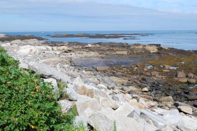 Sandee Fortunes Rocks Beach Photo