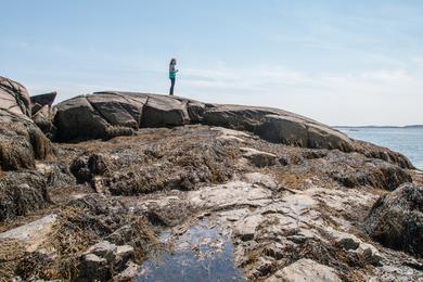 Sandee - Goose Rocks