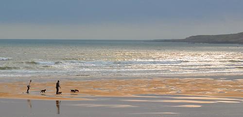 Sandee - St. Andrews Beach