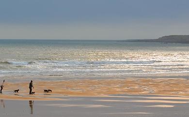 Sandee St. Andrews Beach Photo