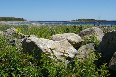 Sandee Goose Rocks