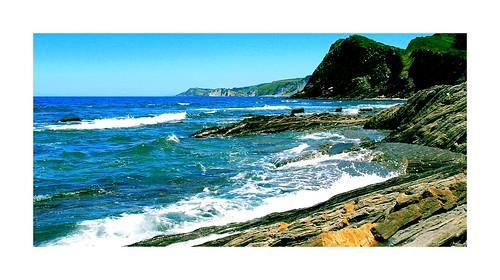 Sandee Cucumber Beach