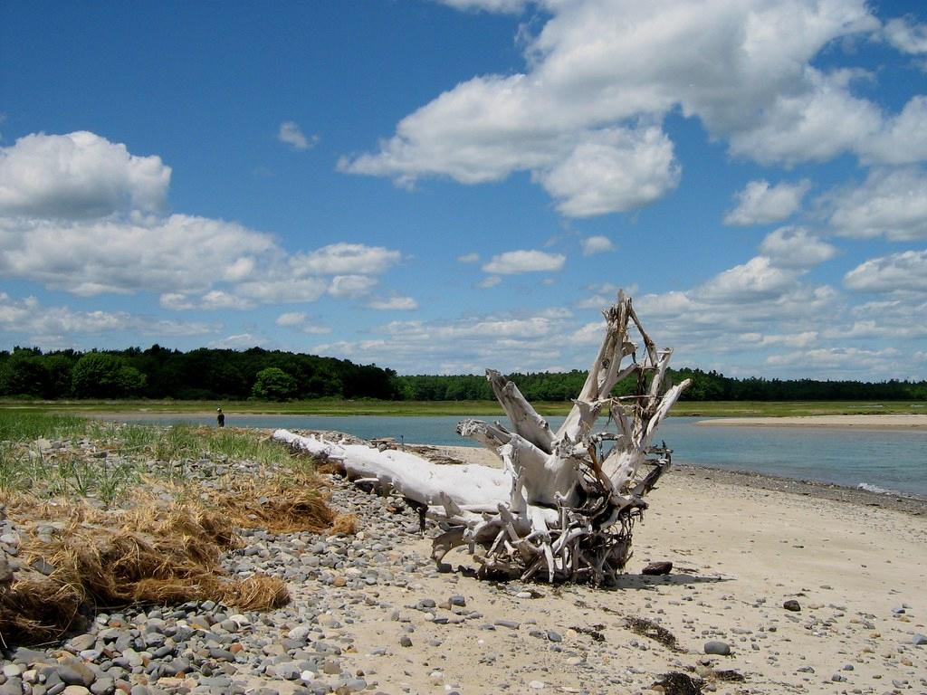 Sandee - Laudholm Beach