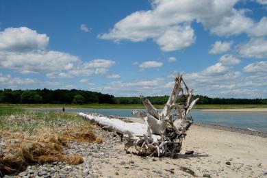 Sandee - Laudholm Beach