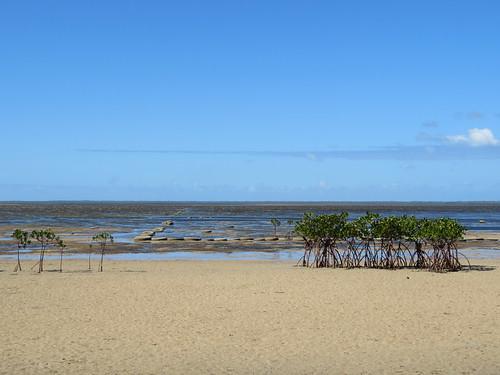 Sandee Kanokupolu Beach