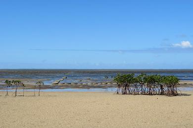 Sandee Kanokupolu Beach