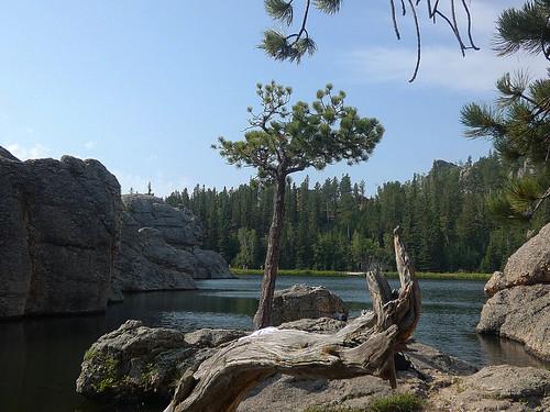 Sandee White Lake State Park