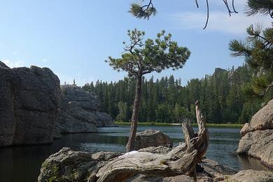 Sandee White Lake State Park