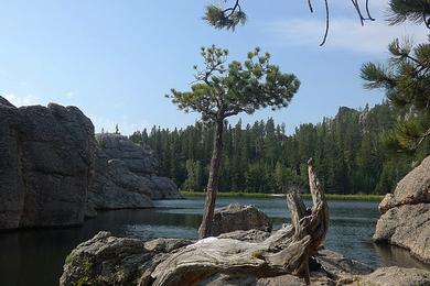 Sandee White Lake State Park Photo