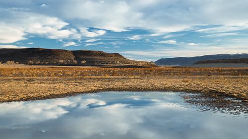 Sandee - Lahontan State Recreation Area