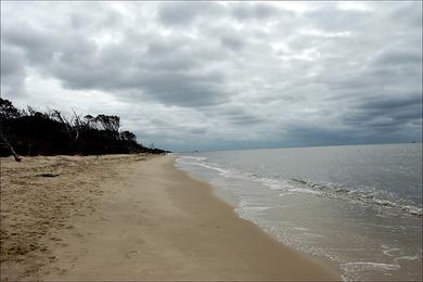 Sandee Higbee Beach Photo