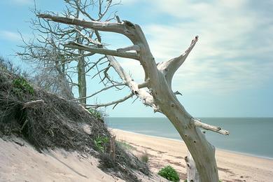 Sandee - Higbee Beach