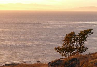 Sandee Whale Beach Photo