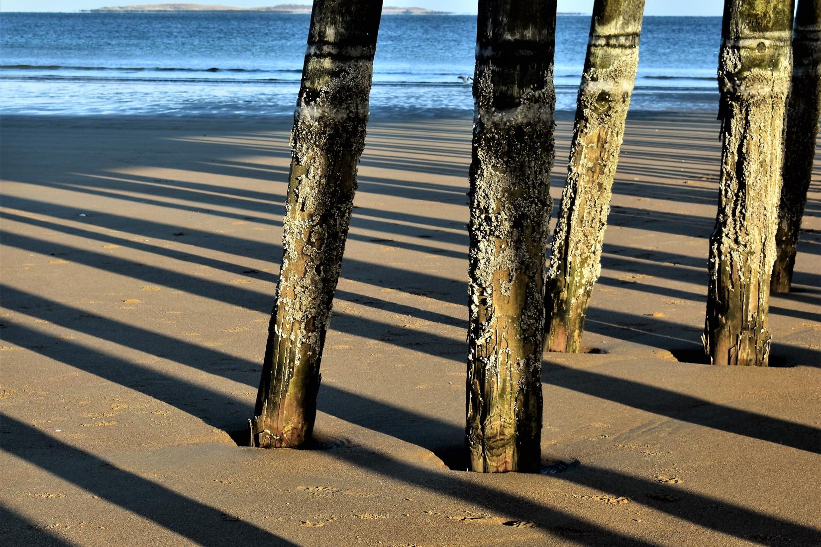 Sandee - Old Orchard Beach