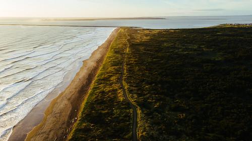 Sandee Westport Light State Park Photo