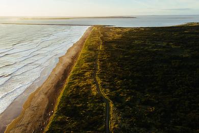 Sandee Westport Light State Park Photo