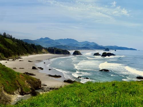Sandee Pacific Beach State Park