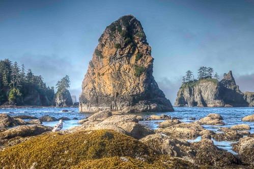 Sandee - Shi Shi Beach, Olympic National Park