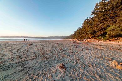 Sandee - Shi Shi Beach, Olympic National Park