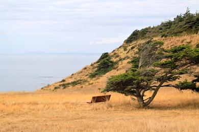 Sandee - Fort Ebey State Park