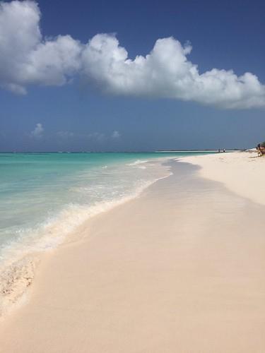 Sandee Anegada Reef Photo